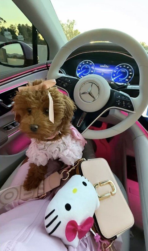 Olivia Parker's puppy