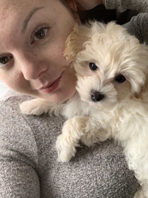 Emily Kaufman's puppy