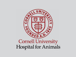 Cornell University Hospital for Animals